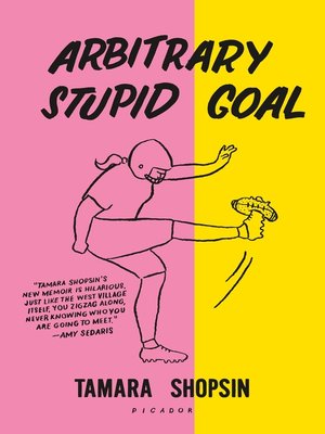 cover image of Arbitrary Stupid Goal